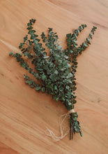 Load image into Gallery viewer, Eucalyptus Bundle