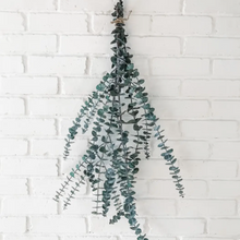Load image into Gallery viewer, Eucalyptus Bundle