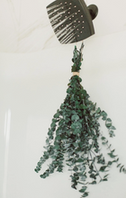 Load image into Gallery viewer, Eucalyptus Bundle