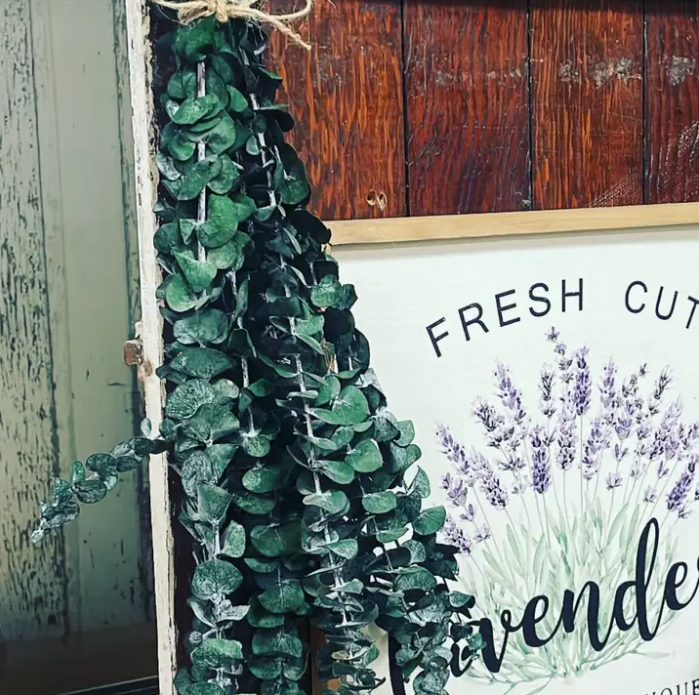 Eucalyptus Shower Bundle